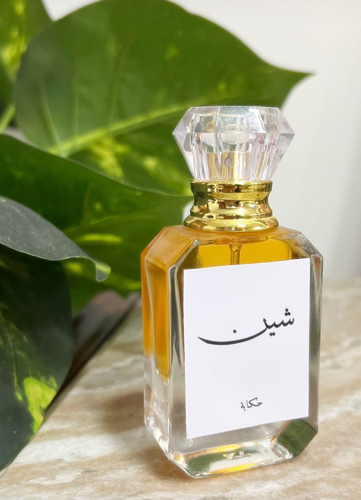 WhatsApp Image 2026-02-19 at 10.40.04 PM (1)