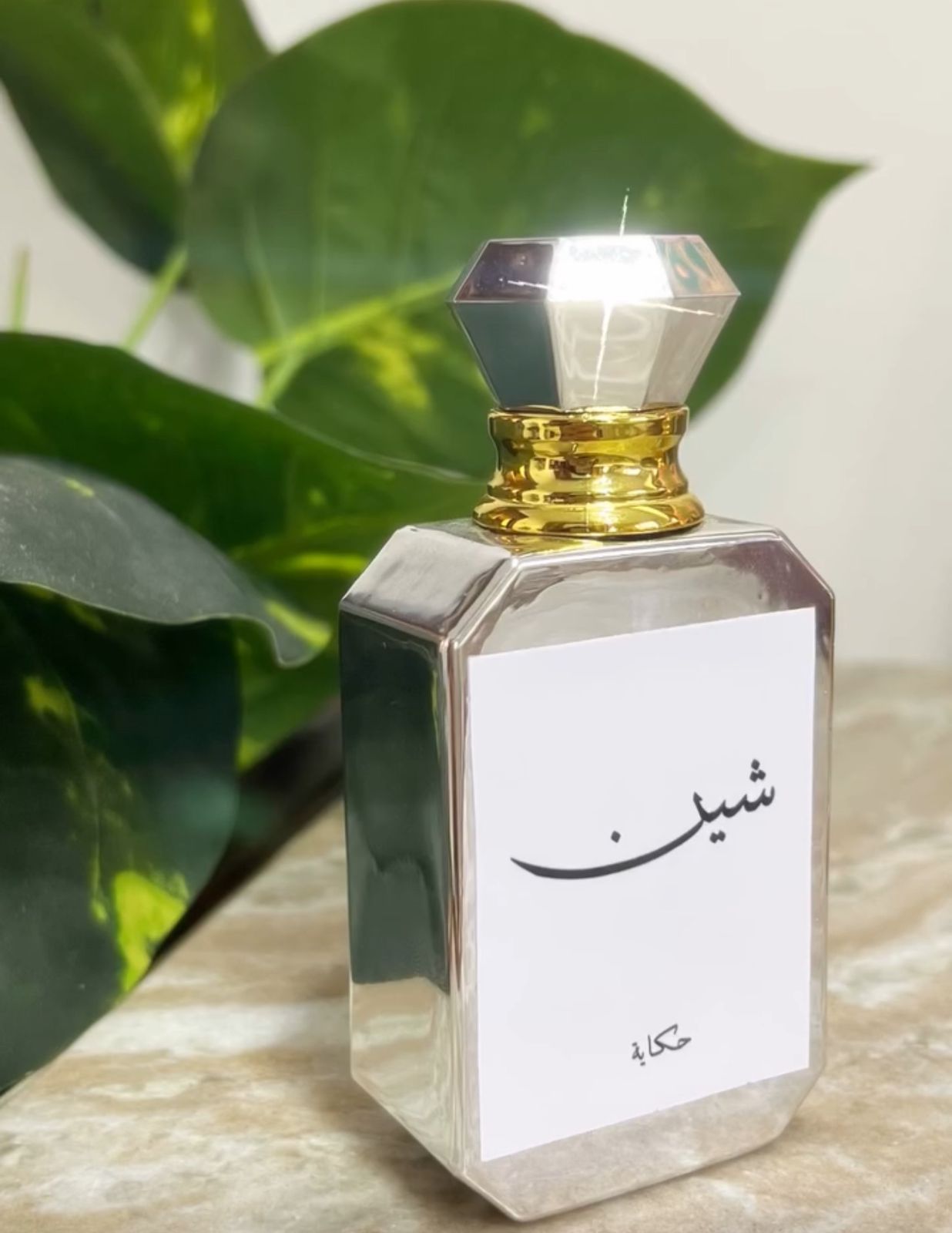 WhatsApp Image 2026-02-19 at 10.40.04 PM